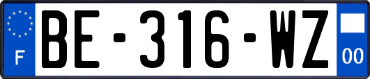 BE-316-WZ