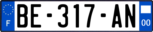 BE-317-AN