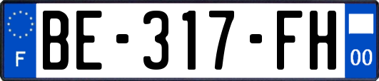 BE-317-FH