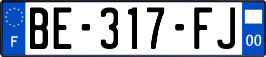 BE-317-FJ