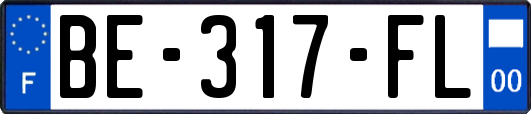 BE-317-FL