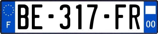 BE-317-FR