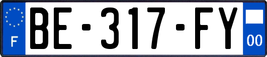 BE-317-FY
