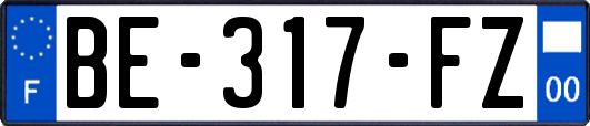BE-317-FZ