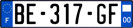 BE-317-GF