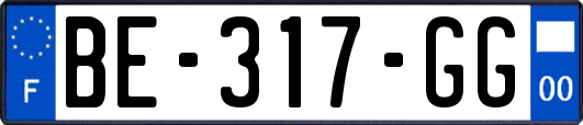 BE-317-GG