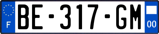 BE-317-GM