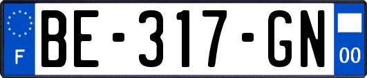 BE-317-GN