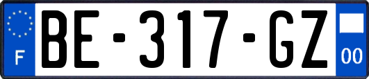 BE-317-GZ