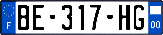 BE-317-HG