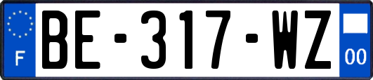 BE-317-WZ