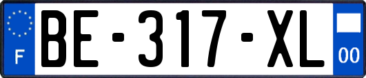 BE-317-XL