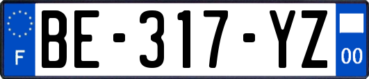 BE-317-YZ