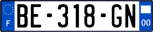 BE-318-GN
