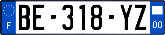 BE-318-YZ