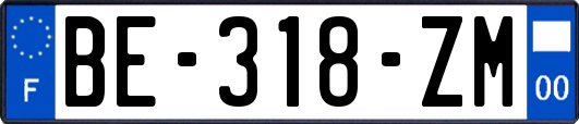 BE-318-ZM