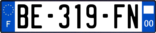 BE-319-FN