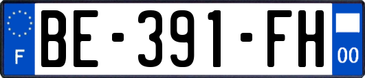 BE-391-FH