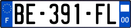 BE-391-FL