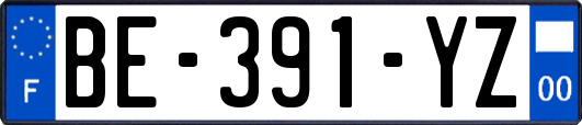 BE-391-YZ