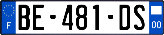 BE-481-DS