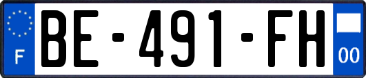BE-491-FH
