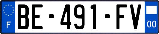 BE-491-FV