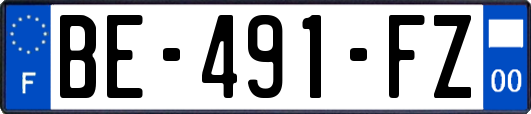 BE-491-FZ