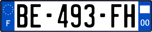 BE-493-FH