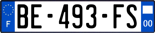 BE-493-FS