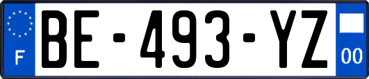 BE-493-YZ