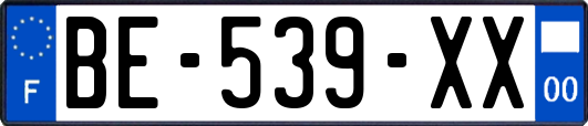 BE-539-XX