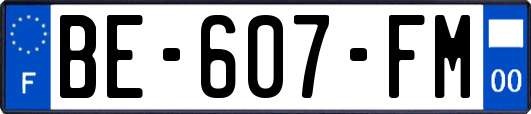 BE-607-FM