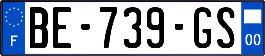 BE-739-GS