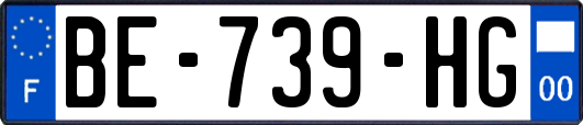 BE-739-HG