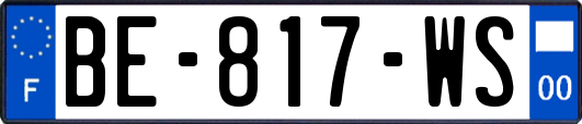 BE-817-WS