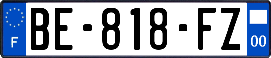 BE-818-FZ