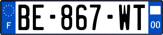 BE-867-WT