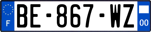 BE-867-WZ