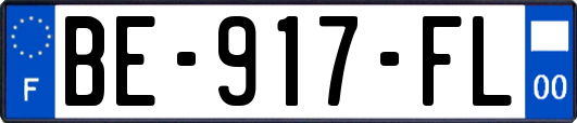 BE-917-FL