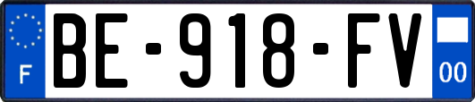 BE-918-FV