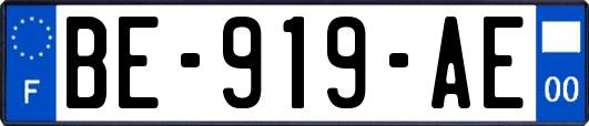 BE-919-AE