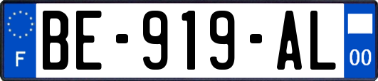 BE-919-AL