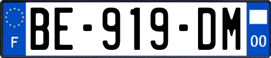 BE-919-DM