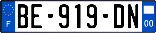BE-919-DN