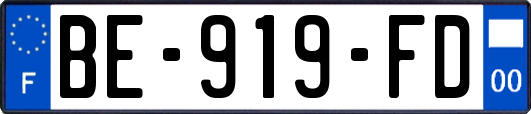 BE-919-FD