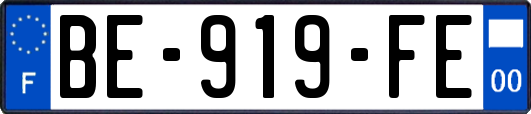 BE-919-FE