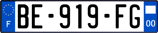 BE-919-FG