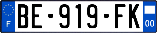 BE-919-FK