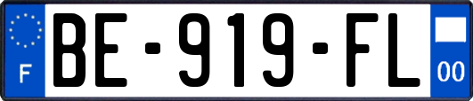 BE-919-FL